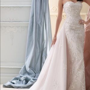 Blush Wedding Dress with detachable train!